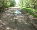 Дорога межмуниципального значения, 28 ОП МЗ 28Н-1448, 3 класс, Трофимково - Козловцы – Дрыгомо, в т.ч.  («Трофимково-Козловцы» - 3,3 км – асфальтовое покрытие, «Козловцы - Дрыгома» - 8 км – гравийный участок дороги).

Участок дороги: "дер. Козловцы - дер. Выставка"

======================================
Не забывайте и не жадничайте поддерживать наши селижаровские дороги:

в частности,

https://dorogi-onf.ru/problem/55397/.

Больше голосов за районные проблемные участки - больше вероятность ремонта районных дорог!

============================
Состояние: 
1. Лопнули две мостовые трубы с образованием проломов. 
2. Гравийная дорога в своём продолжении имеет колеи, выбоины, волны, пластические дефекты (сдвиги, наплывы, гребенка).
3. Участок дороги «Козловцы-Выставка» (частично) – ненормативная ширина дороги, разрастание древесной растительности по обочинам, зарастание дороги, привели к сужению пространства и оставлению возможности лишь одностороннего проезда транспорта.
=========================

Описание: После выезда из деревни Козловцы в сторону Дрыгомы – асфальт заканчивается и начинается грунтовая дорога. Гористая и интересная. Одно удовольствие на велике катиться от телецентра с горушки… Но ездить может только тот, кто знает дороги. Три холма и вот у поворота на дер. Горицы одна из самых важных и древних достопримечательностей в окрестных местах – необычайно глубокая, наглая и самодовольная лужа, непересыхающая даже в засуху к зависти протекающего рядом с дорогой ручья. Скорее всего, она прописалась там после разрыва снаряда в какую-то давнюю войну – кто ж теперь знает, да и она сама, наверное, не помнит… Затем, по ходу движения, после поворота на Горицы и Пронино, начала бывшей деревни Выставки идут колеи, в солнечную погоду мирно дремлющие в тени деревьев, но в дождь злобно прячущие свои истинные зловещие планы и мечты под лужами, обнажая свою вязкую, гадкую суть и зловредные планы лишь тогда, когда представится возможность заключить в свои крепкие и нежные объятия  очередное самоуверенное и неопытное колесо.