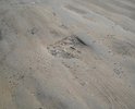 По данной улице невозможно передвигаться, как на автомобиле, так и пешком, потому что по всей дороге находятся огромные ямы!. Про эту улицу местные власти явно забыли, как и про людей живущих по улице Яковлева!