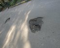 В центре города Валуйки Белгордской области несколько лет не ремонтируют дорогу, на отмеченном участке (улица Гагарина). Огромные ямы. Нужно срочно сделать новую дорогу на этом участке!