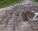 Дорога круглогодично находится в убитом состоянии, постепенно уходя в болото. Местные власти дорогой не интересуются, много лет ее не ремонтируют, не отсыпают.