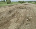 Из-за Тереховского завода и закрытого моста (аварийного) весь грузовой транспорт проходит через деревни Красный Яр и Утесное. Дорога просто ужасная, на легковом транспорте без ущерба доехать очень сложно. Грейдер с таким потоком уже просто не справляется!