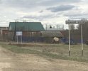 Дорога идущая от города (района) Вятские Поляны до конца деревни Нижние Шуни Вятскополянского района Кировской области разрушена и имеются отслоения верхнего слоя асфальта, проседания либо выпучивания грунта из под дорожного покрытия, большие трещины в асфальте. Вышеизложенные дефекты дорожного полотна не соответствуют предельно допустимым нормативным размерам, в соответствии с требованиями ГОСТ Р 50597-2017 «Автомобильные дороги и улицы. Требования к эксплуатационному состоянию, допустимому по условиям обеспечения безопасности дорожного движения». 
Жителями деревень Средние Шуни, Сосмак, Нижние Шуни неоднократно писались обращения, жалобы в ГИБДД, на имя главы Вятскополянского района Кировской области, однако до сих пор никаких мер по асфальтированию дорог на вышеуказанном участке дороги не принято. Из полученных ответов следует только одно, что нет бюджетных средств на ремонт и.т.п., а проблема так и не решается.
Я и жители Среденешунского сельского поселения Вятскополянского района Кировской области не просят ни в коем случае подводить дорогу к каждому дому, просто нам нужна одна, центральная дорога, соединяющая нашу деревню с цивилизацией (от города Вятские Поляны до конца деревни Нижние Шуни). При необходимости до деревни Нижние Шуни, Средние Шуни, Сосмак, не может вовремя доехать машина скорой помощи, служба спасения, пожарная машина и полиция, что ставит под угрозу мое здоровье и безопасность, а также здоровье и безопасность членов моей семьи и жителей. В итоге опасные ситуации на дорогах, возникающие в данных населенных пунктах Сосмак только усугубляются и могут закончится человеческими жертвами. Все это вышеуказанное нарушает наши права и свободы (граждан): 
- свободу передвижения (ст. 27, п. 1 Конституции Российской Федерации);
- право на передвижение по качественным дорогам, на ремонт и обустройство которых мы жители ежегодно производим налоговые отчисления (согласно ст. 357, глава 28, раздел IX, часть II Налогового кодекса Российской Федерации). Прошу Вас оказать помощь по асфальтированию дороги в деревне Нижние Шуни, Сосмак, Средние Шуни.