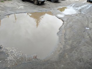 None, Еловая улица