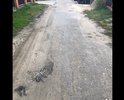 Дорога находится в черте города, не так далеко от центра. Обращения в администрацию не дали результатов. По дороге трудно ездить, постоянно с соседями проводим мелкие ремонты своими силами (засыпаем глубокие ямы). Во многих местах асфальта уже просто нет, стерся до самого грунта)