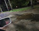 Начиная от ул.Советской до дома номер 3,включительно, на дороге практически отсутствует асфальтное покрытие. Дорога в очень печальном состоянии. Ямы невозможно объезать,они на всей ширине дороги. Хуже улицы в городе я не видел.