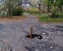 «Да чтоб они провалились, эти Черемушки!» — порой восклицают жители этих «малогабариток» или автомобилисты, скачущие по ухабистым проездам.
Видимо, эти слова возымели действие — Черемушки и впрямь начали проваливаться. Где-то в районе 7 дома у дорожки появилась дыра в земле.
В нее уже успели поставить вешку, чтобы пожилой, подвыпивший или просто невнимательный черемушкинец не упал. И да, обратите внимание на то, что заменяет асфальт.