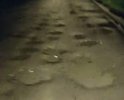 трасса Уссурийск- с.Алексей-Никольское давно уже не ремонтируется куда только не обращались и ни каких мер не принимается а ведь из трёх деревень люди каждый день ездят на работу в Уссурийск по этой трассе.даже автобус рейсовый не ходит в связи с плохой дорогой