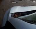 Съезд с а/д Каширское шоссе на въезде в д.Немцово (дорога местного значения до СНТ Немцово, СНТ Повадино). На протяжении 100 метров от съезда с шоссе, имеются многочисленные выбоины и повреждения дорожного полотна. Срочно требуется ямочный ремонт.
