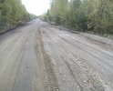 Дорога в ужасном состоянии,разбита так что перестали ходить автобусы.Надежда только на вас.