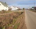 Размывает свежеположенный асфальт. отсылка обочин некачественная из песка