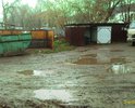 РЖЕВСКАЯ НЕПРОХОДИМОСТЬ
Тверская область, Город воинской славы, 800-летний Ржев.
Вот по такой зловонной слякоти, в антисанитарных условиях приходится пробираться к мусорным контейнерам домов 32 и 50 по Ленинградскому шоссе (за магазином "Пятёрочка"), чтобы выбросить мусор, а потом возвращаться домой по уши в грязи!!! Ремонт коснулся только фасадной стороны улиц, а что за домами твориться – никому нет дела! Губернатору довольствовался тем, что ему показали…