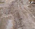 РЖЕВСКАЯ НЕПРОХОДИМОСТЬ
Тверская область, Город воинской славы, 800-летний Ржев.
Вот по такой зловонной слякоти, в антисанитарных условиях приходится пробираться к мусорным контейнерам домов 32 и 50 по Ленинградскому шоссе (за магазином "Пятёрочка"), чтобы выбросить мусор, а потом возвращаться домой по уши в грязи!!! Ремонт коснулся только фасадной стороны улиц, а что за домами твориться – никому нет дела! Губернатору довольствовался тем, что ему показали…