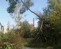 Вот через такую слякоть приходится пробираться жителям дома № 38/65 и 40 по ул. Елисеева во Ржеве Тверской области…
После личного приёма Администрация г. Ржева произвела ямочную подсыпку гравием, но... ровно половину придомовой территории дома, направив письмо от 18.08.2017 г. за подписью зам. Главы г. Ржева Сияркина Е. С., в котором сообщалось: «Работы по подсыпке дорожного полотна и ликвидации несанкционированной свалки... будут выполнены силами управляющей компании МУП г. Ржева "Содействие"»... 
Не подсыпали.
Тогда мы в 2018 г. обратились в суд с иском к Администрации г. Ржева и управляющей организации МУП г. Ржева «Со-действие» с требованиями произвести благоустройство придомовой территории: ликвидировать земляную насыпь и стихийную мусорную свалку во дворе дома № 38/65 по ул. Елисеева в г. Ржеве, произвести подсыпку гравием (щебнем) придомовой территории, обустроить съезды во двор с проезжей части улицы Елисеева между домами № 38/65 и № 40 и улицы Революции во обеспечение проезда личного автотранспорта и специального автотранспорта («скорой медицинской помощи» и пожарных расчетов)… Решением Ржевского горсуда Тверской области от 22.11.2018 г., оставленному в силе Твероблсудом, в удовлетворении иска отказано! Истцы НЕ ДОКАЗАЛИ, что живут в свинарнике и по уши в грязи! Так и живем в дерьме как быдло народное! Вот и подумайте: это дорожная непроходимость или чиновничья...
