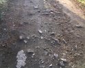 Дороги в ужасном состоянии.