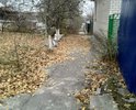 Дорожное покрытие , тротуары на переулке Павлова отсутствуют совсем ...