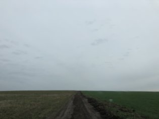 None, Козельский район