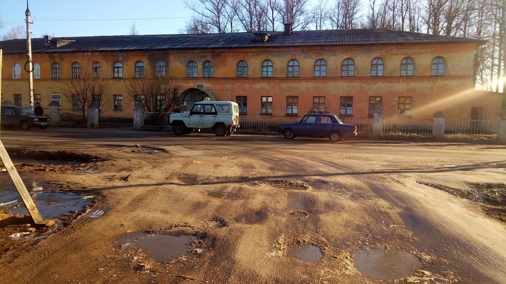 Купить Кота Город Нелидово Тверская Область Авито