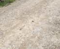 Главная дорога в поселке Шахтерский (ул.Чекалина) и подъезды к ней просто отвратительны. Начиная с 2017 года местные чиновники клятвенно обещают нам, что дорога будет построена. На деле же все ограничивается разбрасыванием щебенки и не более того. Летом это что-то отдаленно напоминает какую-то щебёночную тропинку. А в другие сезоны одна распутица и яма на яме. Мы уже прозвали эту улицу "направлением убитых подвесок машин" и "тропой сломанных ног".