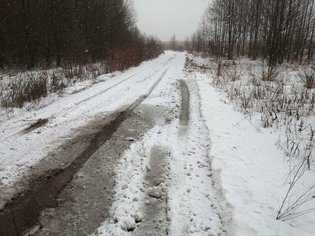 None, Гороховецкий район