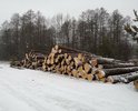 Ежегодно жители деревни Юрятино за свой счет и частично финансирование администрации делают дорогу до деревни, а начиная с осени 2019г и по сей день лесозаготовщики начали разбивать дорогу, ездят по дороге большегрузовая техника и разбила колеи и ямы глубиной по 15см. Прошу разобраться в данной ситуации