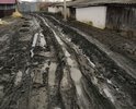 Добрый вечер! Ребята, помогите осветить проблему маленького грязненького проулка). Вообще говоря, проблема не столь мала, какой могла бы показаться.
Я говорю о проулке ровно напротив новой школы в районе домов 40, 42, и самый класс около дома 52а, улицы Гоголя.
Это сквозной проулок, соединяющий 2 улицы. По нему каждый день ходят дети в школу (про взрослых молчу, они же взрослые, типа, справятся как-нибудь). Так вот дети не только ходят, но и падают в эту кашу. Своими глазами видела...
Основная мысль заключается в том, что раньше тут силами жильцов была сделана относительно неплохая дорога. Когда делали уже знаменитую ливневку, имеющийся верхний слой счистили, вывезли и оставили чернозем в чистом виде.
В общем, пройти реально невозможно, скорая и другие службы тоже подумают прежде, чем туда ехать, и что уж говорить о личных легковых авто, владельцы которых живут в этих домах. Мы просто паркуемся на улице у школы.
По традиции просим помочь разобраться в сложившейся ситуации. Спасибо