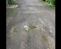 В нашем проулке живут инвалиды и многодетные семьи, дорогу не делали никогда. Несколько лет назад жители за свои средства как то постарались отсыпать дорогу крошкой, но такого "ремонта" хватило не надолго. Очень просим сделать нам дорогу.