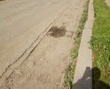 Дорога по улице Петергофская требует ямочного ремонта