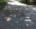Начиная с 2016 года, мы неоднократно обращались в администрацию города Евпатории и Департамент городского хозяйства с коллективными заявлениями по вопросу ремонта дорожного покрытия переулка Семашко города Евпатории. Мы наблюдаем, что в городе Евпатория проводятся ремонтные работы дорожных покрытий, благоустройство улиц, центральные  и близлежащие к ним улицы преображаются. Наша улица никогда не ремонтировалась. Соседи неоднократно писали письма с просьбой отремонтировать  дорожное полотно на нашем небольшом переулке, но каждый раз приходили отписки из соответствующих инстанций о том, что в плане города переулок Семашко заасфальтирован. На самом же деле ремонт никогда не производился, асфальта никогда не было. Собственными силами за собственные средства жители нашего переулка приобретают щебень и подсыпают на улице возле своих дворов ( что видно на фото ). На нашем переулке проживают пенсионеры, молодые семьи с маленькими детьми, которым тяжело передвигаться по разбитой дороге. Неудобства доставляют лужи, грязь, невозможность проехать с колясками.
	
              На наше коллективное обращение  в 2016 году по вопросу ремонта дорожного покрытия на пер.Семашко, от Департамента городского хозяйства администрации города Евпатории Республики Крым пришли ответы от 24.10.2016 г.  №КО-4/2067/2 и 20.10.2016 за №КО-4/2046/2,в которых сказано: «Работы по ремонту дорожного покрытия указанного переулка включены в план работ на 2018 г.» - цитата из ответа №КО-4/2067/2 от 24.10.2016 г.
              Так же доводим до Вашего сведения, что на наше коллективное обращение в 2018 году по тому же вопросу (ответы: от 05.09.18 №КО-4/1688/2 и от 11.09.18 №КО-4/2755/2) было сказано «Ремонт дорожного покрытия пер.Семашко был предусмотрен в рамках выделения в 2018 году финансирования из бюджета Республики Крым. Однако, на данные цели запрошенного администрацией города Евпатории Республики Крым финансирования из бюджета Республики Крым выделено не было.» - цитата ответа №КО-4/1688/2 от 05.09.2018 года.
	На наши последние коллективные обращения так же пришли отрицательные ответы из администрации города от Первого заместителя главы администрации города Евпатории Республики Крым К.А. Вавренюка и Департамента городского хозяйства от Начальника департамента А.В.Тюрягина о том, что «Муниципальный бюджет средствами на ремонт дорожного покрытия пер.Семашко в настоящее время не располагает. Ремонт дорожного покрытия пер.Семашко планируется выполнить при выделении целевого финансирования из бюджета Республики Крым в установленном порядке» ( документ №КО-4/1853/2 от 01.06.2020 г.)
Надеемся, что обратят внимание на наше обращения при планировании выделения целевого финансирования из Республиканского бюджета на ремонт дорожного покрытия переулка Семашко муниципального образования города Евпатории.