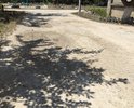 Начиная с 2016 года, мы неоднократно обращались в администрацию города Евпатории и Департамент городского хозяйства с коллективными заявлениями по вопросу ремонта дорожного покрытия переулка Семашко города Евпатории. Мы наблюдаем, что в городе Евпатория проводятся ремонтные работы дорожных покрытий, благоустройство улиц, центральные  и близлежащие к ним улицы преображаются. Наша улица никогда не ремонтировалась. Соседи неоднократно писали письма с просьбой отремонтировать  дорожное полотно на нашем небольшом переулке, но каждый раз приходили отписки из соответствующих инстанций о том, что в плане города переулок Семашко заасфальтирован. На самом же деле ремонт никогда не производился, асфальта никогда не было. Собственными силами за собственные средства жители нашего переулка приобретают щебень и подсыпают на улице возле своих дворов ( что видно на фото ). На нашем переулке проживают пенсионеры, молодые семьи с маленькими детьми, которым тяжело передвигаться по разбитой дороге. Неудобства доставляют лужи, грязь, невозможность проехать с колясками.
	
              На наше коллективное обращение  в 2016 году по вопросу ремонта дорожного покрытия на пер.Семашко, от Департамента городского хозяйства администрации города Евпатории Республики Крым пришли ответы от 24.10.2016 г.  №КО-4/2067/2 и 20.10.2016 за №КО-4/2046/2,в которых сказано: «Работы по ремонту дорожного покрытия указанного переулка включены в план работ на 2018 г.» - цитата из ответа №КО-4/2067/2 от 24.10.2016 г.
              Так же доводим до Вашего сведения, что на наше коллективное обращение в 2018 году по тому же вопросу (ответы: от 05.09.18 №КО-4/1688/2 и от 11.09.18 №КО-4/2755/2) было сказано «Ремонт дорожного покрытия пер.Семашко был предусмотрен в рамках выделения в 2018 году финансирования из бюджета Республики Крым. Однако, на данные цели запрошенного администрацией города Евпатории Республики Крым финансирования из бюджета Республики Крым выделено не было.» - цитата ответа №КО-4/1688/2 от 05.09.2018 года.
	На наши последние коллективные обращения так же пришли отрицательные ответы из администрации города от Первого заместителя главы администрации города Евпатории Республики Крым К.А. Вавренюка и Департамента городского хозяйства от Начальника департамента А.В.Тюрягина о том, что «Муниципальный бюджет средствами на ремонт дорожного покрытия пер.Семашко в настоящее время не располагает. Ремонт дорожного покрытия пер.Семашко планируется выполнить при выделении целевого финансирования из бюджета Республики Крым в установленном порядке» ( документ №КО-4/1853/2 от 01.06.2020 г.)
Надеемся, что обратят внимание на наше обращения при планировании выделения целевого финансирования из Республиканского бюджета на ремонт дорожного покрытия переулка Семашко муниципального образования города Евпатории.