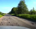 Ямы на всем протяжении участка, в отдельных местах приходится объезжать по обочине