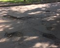 В Санкт-Петербурге во Фрунзенском районе невозможно нормально передвигаться и ездить вокруг дома по адресу ул Бухарестская д39к3. Насчитали 27 ям глубиной от 5 до 14 см. Ремонт дороги и двора не проводился давно.