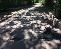В Санкт-Петербурге во Фрунзенском районе невозможно нормально передвигаться и ездить вокруг дома по адресу ул Бухарестская д39к3. Насчитали 27 ям глубиной от 5 до 14 см. Ремонт дороги и двора не проводился давно.