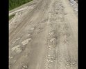 Дорога от Каргаска до Б.Гривы в ужасном состоянии, после дождя проехать невозможно. Качество с годами ухудшается, местами дорожное полотно уходит в болото. Дорога не отсыпается, не поднимается, не ремонтируется, совсем.