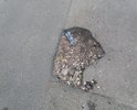 Вся дорога в больших и малых ямах