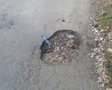 Вся дорога в больших и малых ямах