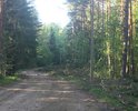Плохая дорога с огромными ямами, торчащие камни из дороги