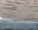 Дорога Тиволино - Щекотово, Кашинского городского округа. Дорога единственная для более, чем 20 деревень. Это дорога  2 класса. В деревне Тиволино бывший асфальто-бетон разрушен на 100%, обочины сползли в кювет. Дыры и провалы в асфальте сплошные. Движение транспорта хаотичное. Для проезда машины постоянно маневрируют по встречной полосе. По дороге пролегает школьный маршрут. Дети из автобуса выпрыгивают в ямы на дороге и продолжают идти между ям и хаотично двигающимися машинами. На многочисленные требования жителей деревень и членов СНТ "Медведица" привести дорогу в  нормативное состояние и внести в Программу капитального ремонта, ответ один - денег нет. На этом участке ежегодно по несколько раз проводят ямочный ремонт, но не там, где он жизненно необходим, а где попроще. Ремонт проводят халтурно, через 1-2 недели уже ничего не остается. Безопасность движения естественно не соблюдается, постоянно пробиваются колеса на острых кромках оставшегося асфальта. ЕЗДИТЬ СТРАШНО!!!!!
