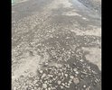 Дорожного полотна нет уже лет 10, постоянно грязь,слякоть,лужи и кучи ям, вода очень долго не уходит,потому что некуда.