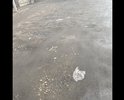 Дорожного полотна нет уже лет 10, постоянно грязь,слякоть,лужи и кучи ям, вода очень долго не уходит,потому что некуда.