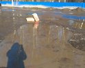 Ремонт данного участка дороги не производился лет 10. В настоящее время ямы глубиной 50 см, тротуара нет.