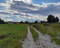 Данная дорога является грунтовой и единственной подъездной дорогой к домам. После сильных дождей не возможно проехать! Необходимо отсыпать хотя бы гравием для подъезда скорой помощи и пожарных.