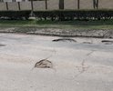Один из участков дороги по ул Полупанова от выезда с пр-зд Советского до поворота на ул.Демышева которая делалась больше двух лет.