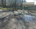 На основании ФЗ «О порядке рассмотрения обращений граждан Российской Федерации», Положения «О государственной инспекции безопасности дорожного движения Министерства внутренних дел Российской Федерации» от 15 июня 1998 года N 711 прошу:

- проверить действия лиц на наличие состава административного правонарушения, предусмотренного статьей 12.34 КоАП РФ;

- восстановить целостность дорожного полотна на заявленном участке дороги проезжей части.

Согласно статье 1 Федерального закона от 10.12.1995 г. N 196-ФЗ «О безопасности дорожного движения» в качестве задачи указанного Федерального закона определена охрана жизни, здоровья и имущества граждан, защита их прав и законных интересов, общества и государства путем предупреждения дорожно-транспортных происшествий, снижения тяжести их последствий.

Согласно пункту двенадцатому статьи 3 Федерального закона от 08.11.2007 г. N 257-ФЗ "Об автомобильных дорогах и о дорожной деятельности в Российской Федерации и о внесении изменений в отдельные законодательные акты Российской Федерации" содержанием автомобильной дороги является комплекс работ по поддержанию надлежащего технического состояния автомобильной дороги, оценке ее технического состояния, а также по организации и обеспечению безопасности дорожного движения.

Согласно статье 12 Федерального закона от 10.12.1995 г. N 196-ФЗ «О безопасности дорожного движения» содержание дорог на территории РФ должно обеспечивать безопасность дорожного движения и производится лицами, осуществляющими содержание автомобильных дорог.

Согласно пункту шестому статьи 3 Федерального закона от 08.11.2007 г. N 257-ФЗ "Об автомобильных дорогах и о дорожной деятельности в Российской Федерации и о внесении изменений в отдельные законодательные акты Российской Федерации" дорожной деятельностью признается деятельность по проектированию, строительству, реконструкции, капитальному ремонту, ремонту и содержанию автомобильных дорог.

Согласно пункту одиннадцатому статьи 3 Федерального закона от 08.11.2007 г. N 257-ФЗ "Об автомобильных дорогах и о дорожной деятельности в Российской Федерации и о внесении изменений в отдельные законодательные акты Российской Федерации" ремонтом автомобильной дороги признается комплекс работ по восстановлению транспортно-эксплуатационных характеристик автомобильной дороги, при выполнении которых не затрагиваются конструктивные и иные характеристики надежности и безопасности автомобильной дороги.

Согласно действующему в России ГОСТ Р 50597–93 размеры ям не должны быть больше 15 см по длине, 60 см в ширину и 5 см в глубину. Главой шестой Федерального закона от 08.11.2007 N 257-ФЗ "Об автомобильных дорогах и о дорожной деятельности в Российской Федерации и о внесении изменений в отдельные законодательные акты Российской Федерации" распределен порядок финансирования дорожной деятельности.

Статьей 12.34 КоАП РФ предусмотрена ответственность за несоблюдение требований по обеспечению безопасности дорожного движения при ремонте и содержании дорог.