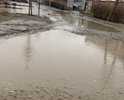 Добрый день! Прошу обратить острое внимание на участок дороги длинной 100-120 метров по адресу: г.Батайск, ул. Рыбная, участок от дома №115 до дома №125. Дорога в ужасном состоянии, дожди размыли ямы до глубины до 15 сантиметров. Автомобилям приходится объезжать по обочине (хотя и ее там нет). Пешеходам там совершенно не пройти. 
По этой дороге ездит достаточно много автомобилей, перед ямами образуется затор.
Прошу отремонтировать этот участок дороги ближайшее время.