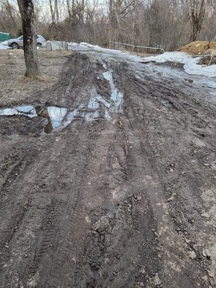 None, деревня Губастово