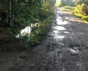 Город Домодедово мкр востряково ул.Куликовская необходим асфальт , платим по городским тарифы и налоги, а дорога никакая!