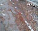 Тротуар по Подшипниковой 18 представляет собой остатки асфальта вперемешку с грязью и мусором.