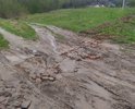По всей деревне Торбеево дорог НЕТ! Сами жители в ямы наносят кирпичи, что видно на двух последних фотографиях. Платина в плачевном состоянии, ремонтом дорог и платины Администрация заниматься не хочет!!! Примите меры!!! Скорая проехать не может. В селе Бурнашево есть фельдшерский пункт, но до него добраться нет возможности, т.к. и до этого села дороги нет!