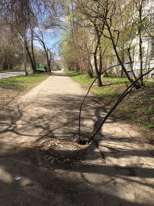 None, проспект Карла Маркса, 484
