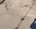 Внутридворовые дороги по ул. Аэродромная в ужаснейшем состоянии - ямы по ширине дороги на всем протяжении. Невозможно ни ездить, ни ходить.